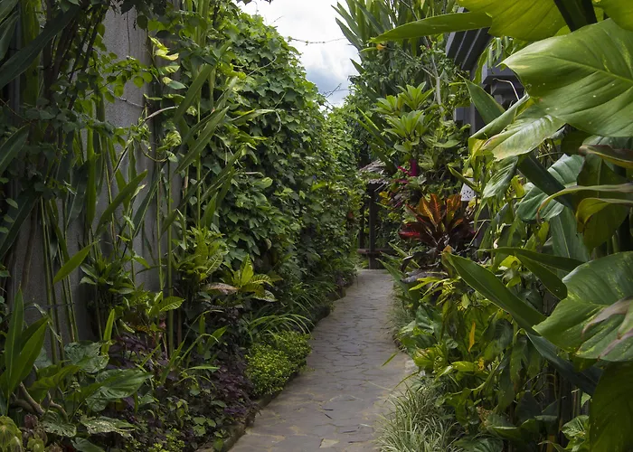 Ladera *