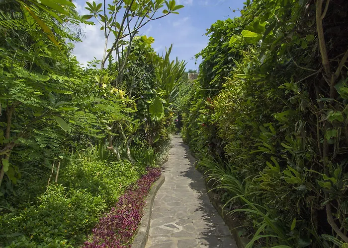 Ladera